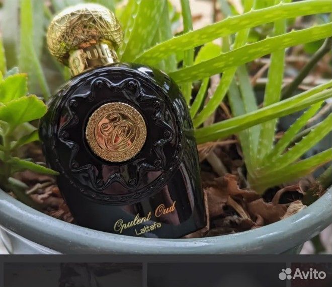 Арабские духи ОАЭ Opulent Oud Lattafa Perfumes уни