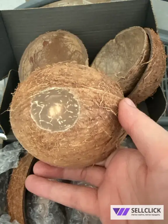 Кокосовая скорлупа для свечей