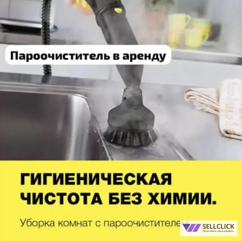 Пароочиститель аренда
