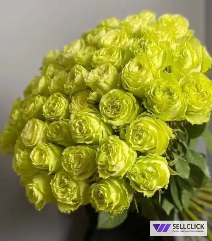 AliAFlowers