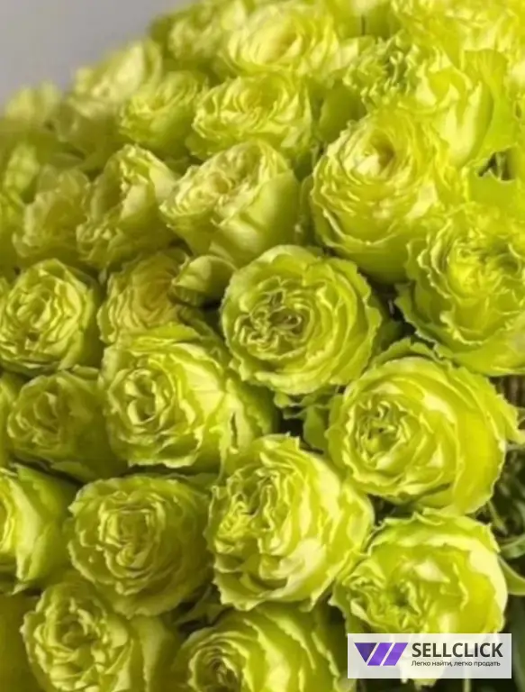 AliAFlowers