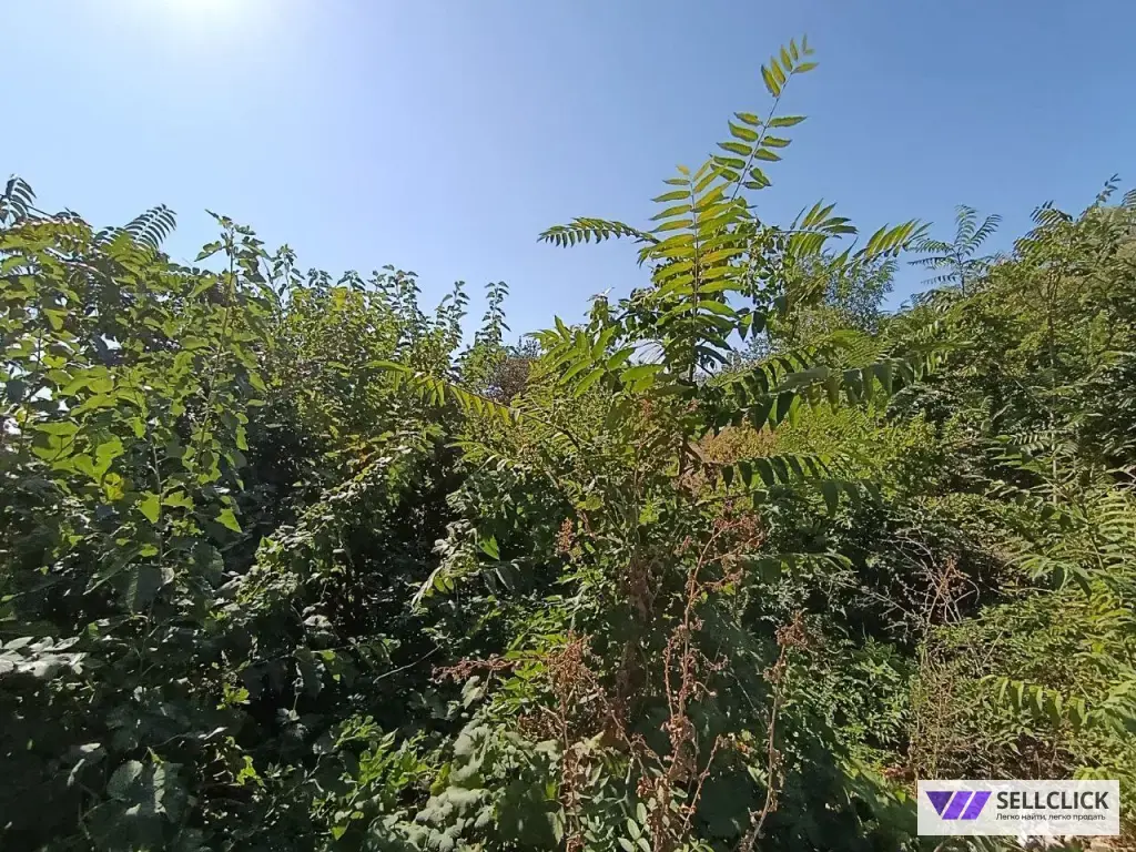 Продается участок в Центральном районе города