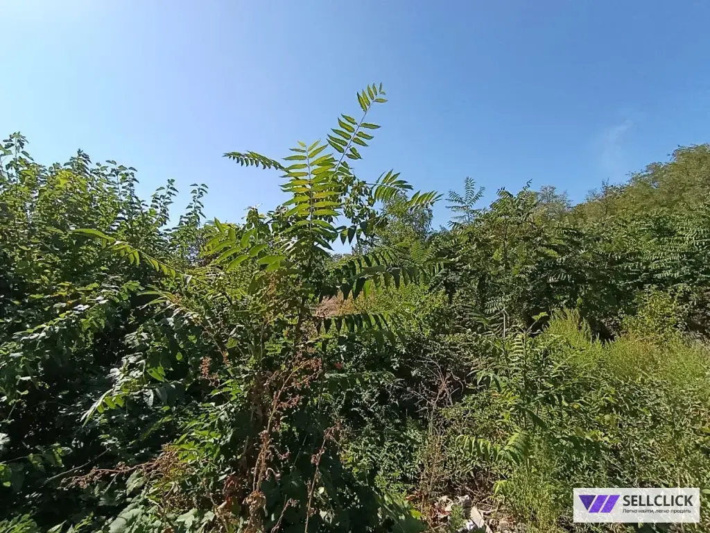 Продается участок в Центральном районе города