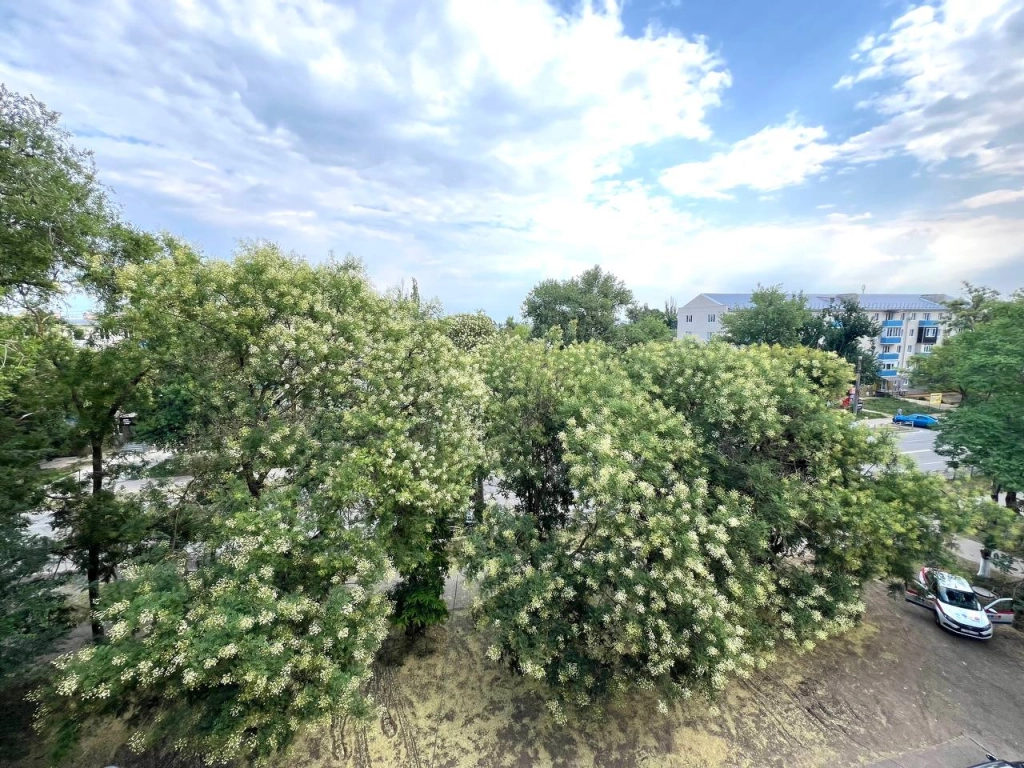 Квартира, 1 комната, 17 м², Агент