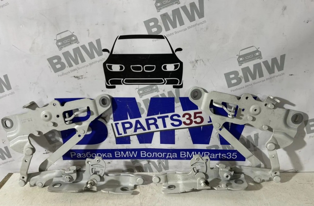 Петля капота BMW F10, F11, F18 Цвет 300