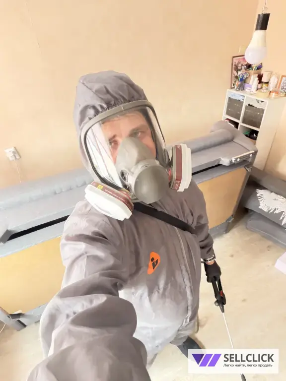 Травля насекомых(Тараканы, клопы, муравьи)