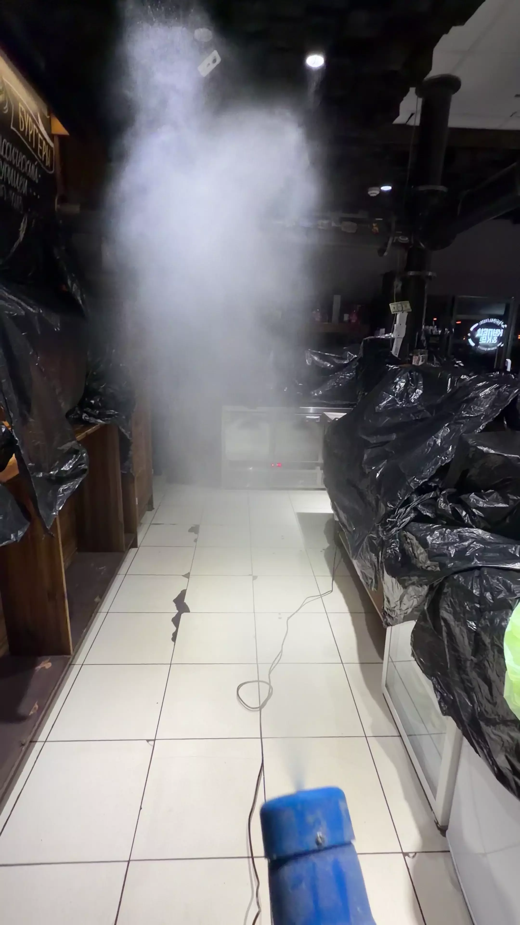 Травля насекомых(Тараканы, клопы, муравьи)