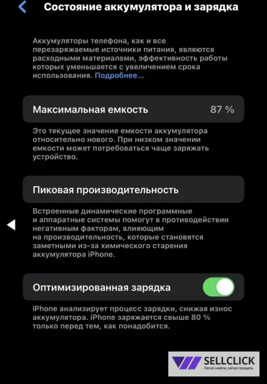 iPhone 13