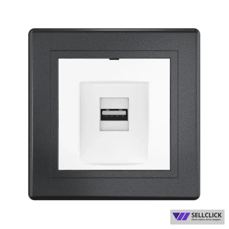 Розетка скрытой установки CADUCEUS ALING PRESTIGE с модулем Keystone USB 2.0 тип А-А, 250В~