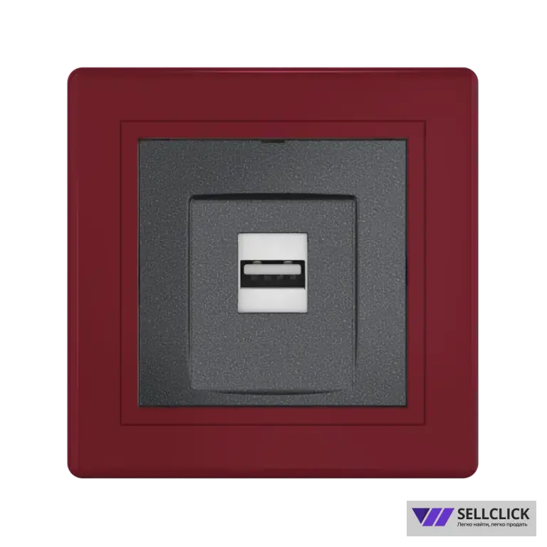 Розетка скрытой установки CADUCEUS ALING PRESTIGE с модулем Keystone USB 2.0 тип А-А, 250В~