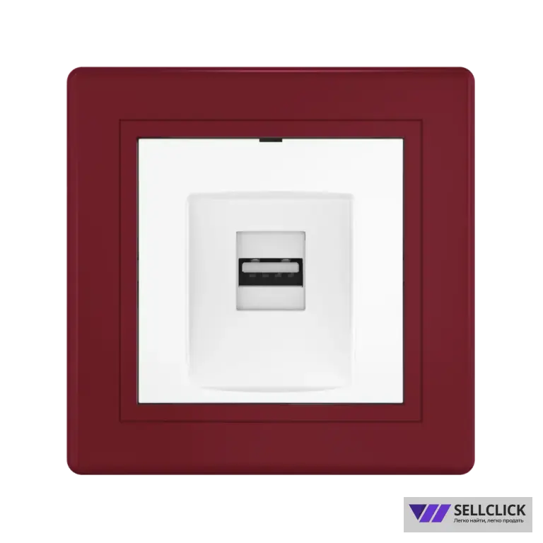 Розетка скрытой установки CADUCEUS ALING PRESTIGE с модулем Keystone USB 2.0 тип А-А, 250В~