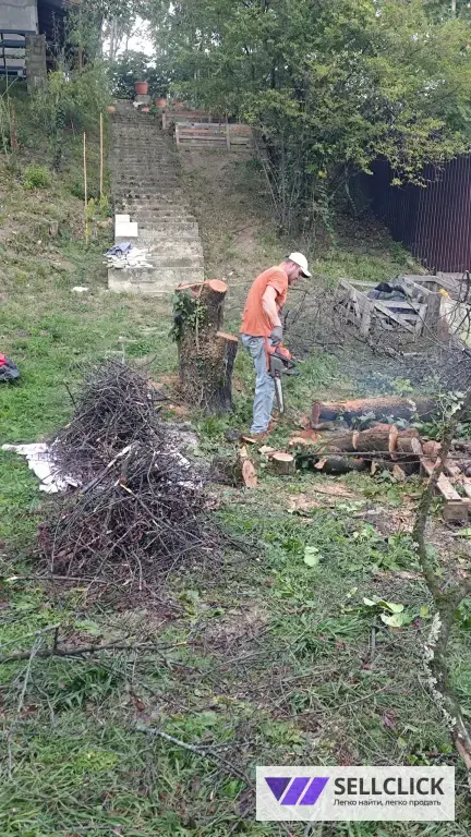 Расчистка участка