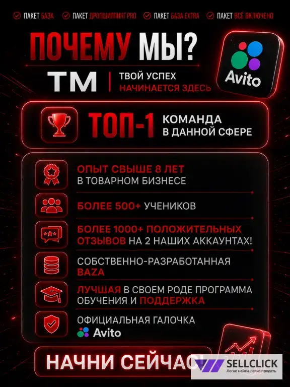 Готовый бизнес ДРОПШИППИНГ