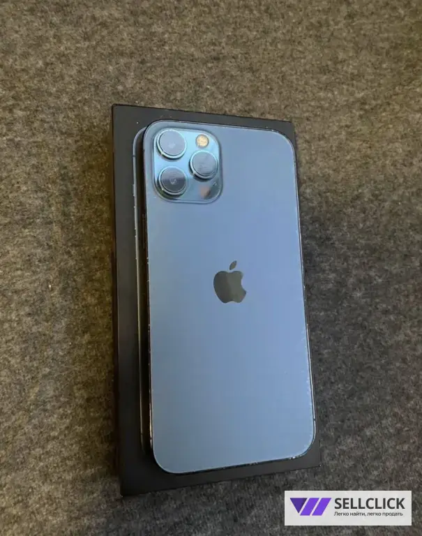 iPhone 12 Pro Max 256