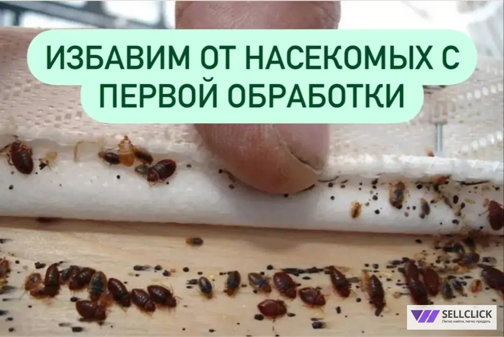 обработка от тараканов , клопов итд