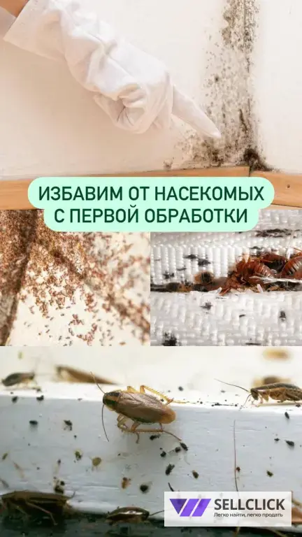 обработка от тараканов , клопов итд