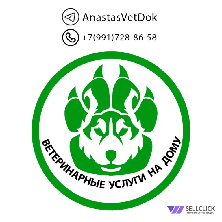 Ветеринар на дом