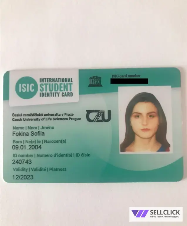 Чешский с нуля онлайн. Преподаватель из Европы