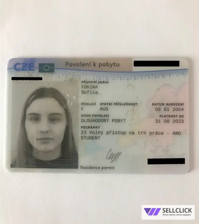 Чешский с нуля онлайн. Преподаватель из Европы