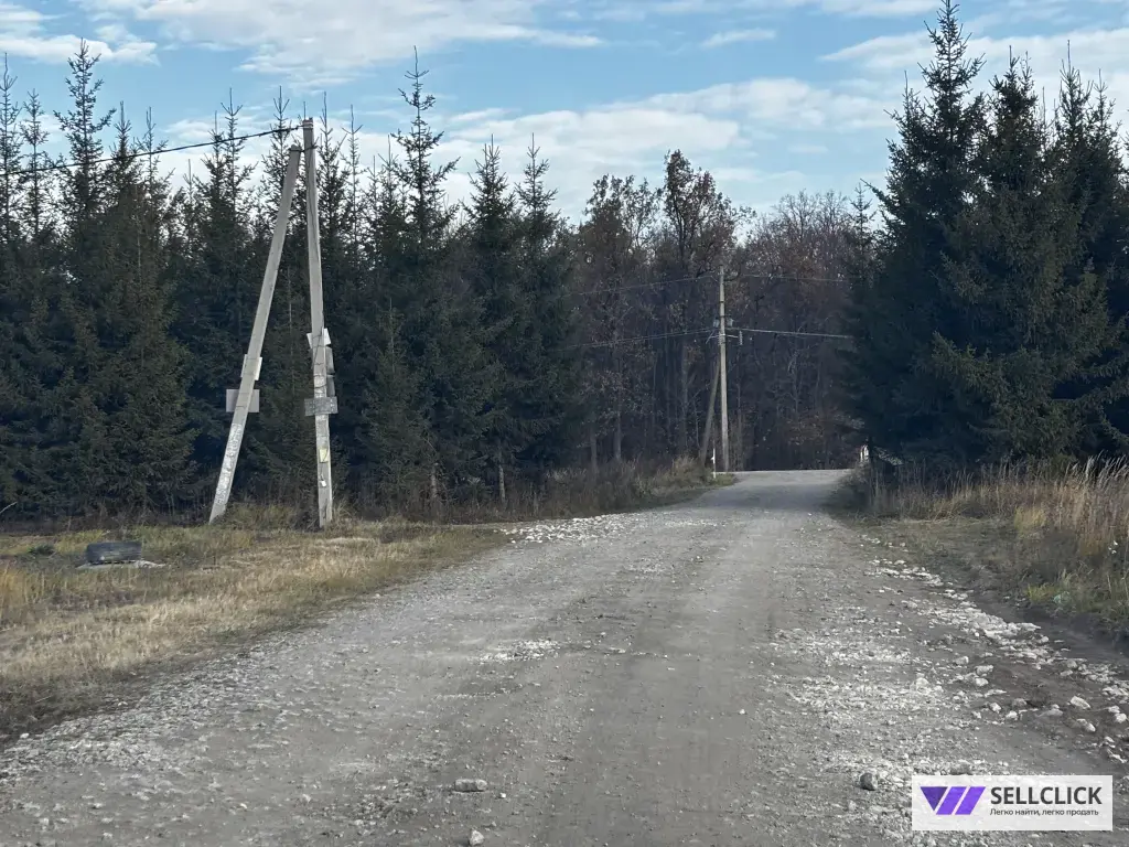 Поселения (ИЖС) 10 сот., Собственник