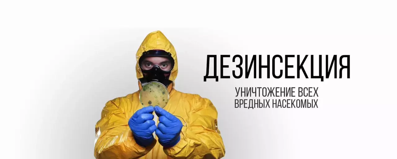 дезинфекция дератизация дезинсекция потравить тараканов потравить клапов
