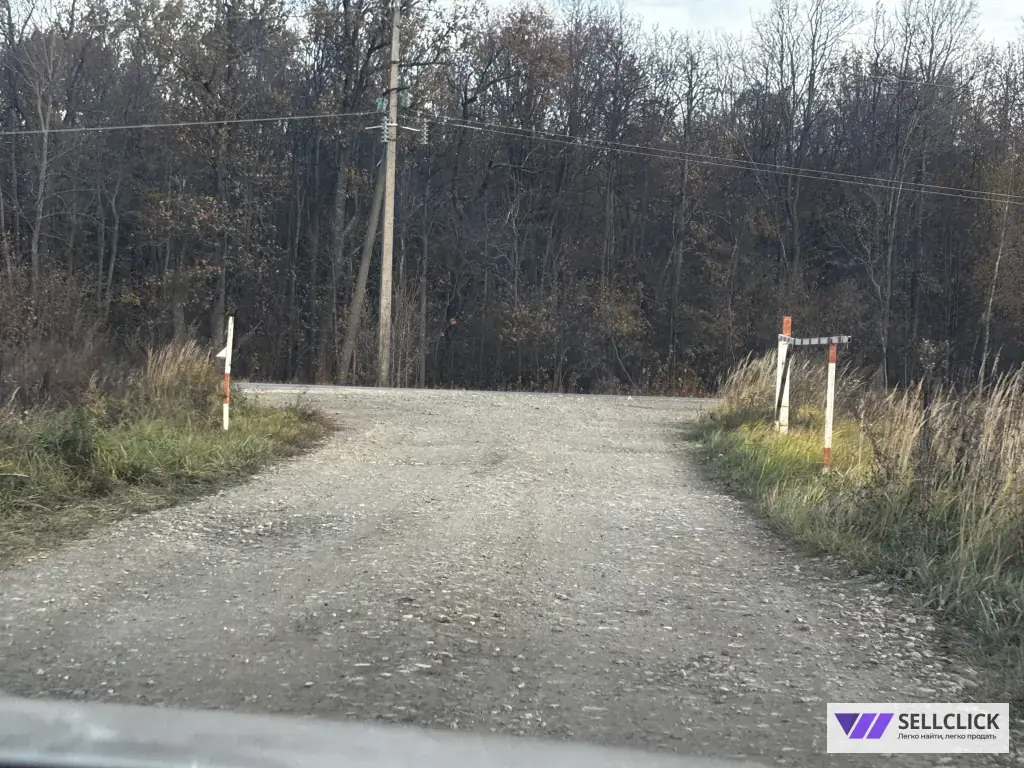 Поселения (ИЖС) 10 сот., Собственник