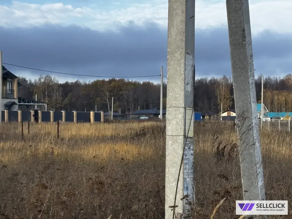 Поселения (ИЖС) 10 сот., Собственник