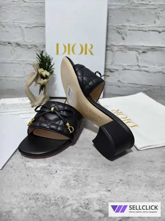 Dior 2026 Новые