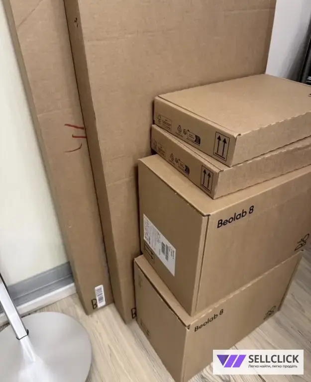 Bang Olufsen Beolab 8 silver наполный комплект