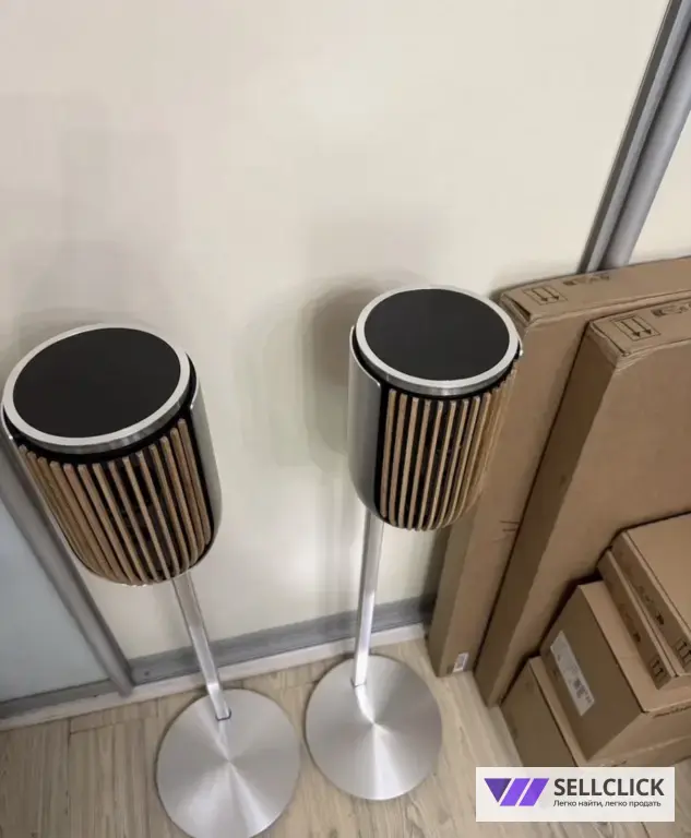 Bang Olufsen Beolab 8 silver наполный комплект