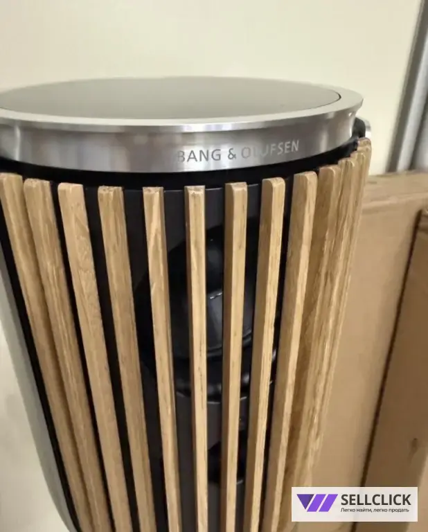Bang Olufsen Beolab 8 silver наполный комплект