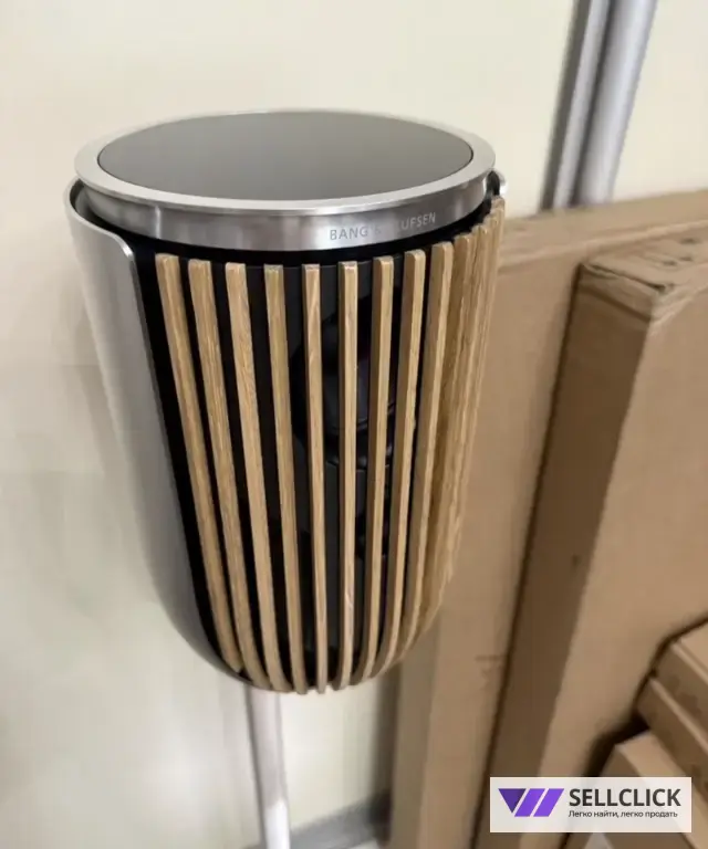 Bang Olufsen Beolab 8 silver наполный комплект
