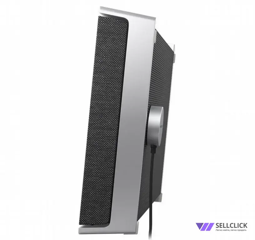 Bang & Olufsen Beosound Level Natural
