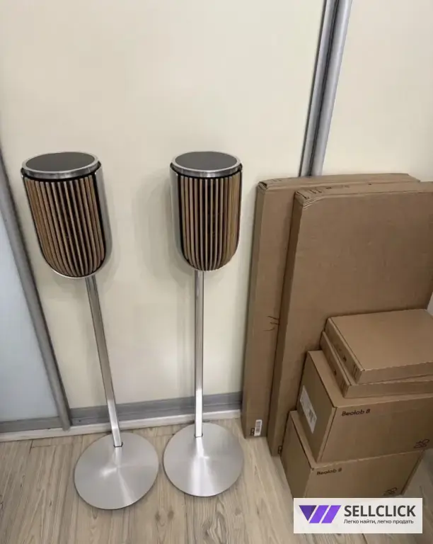 Bang Olufsen Beolab 8 silver наполный комплект