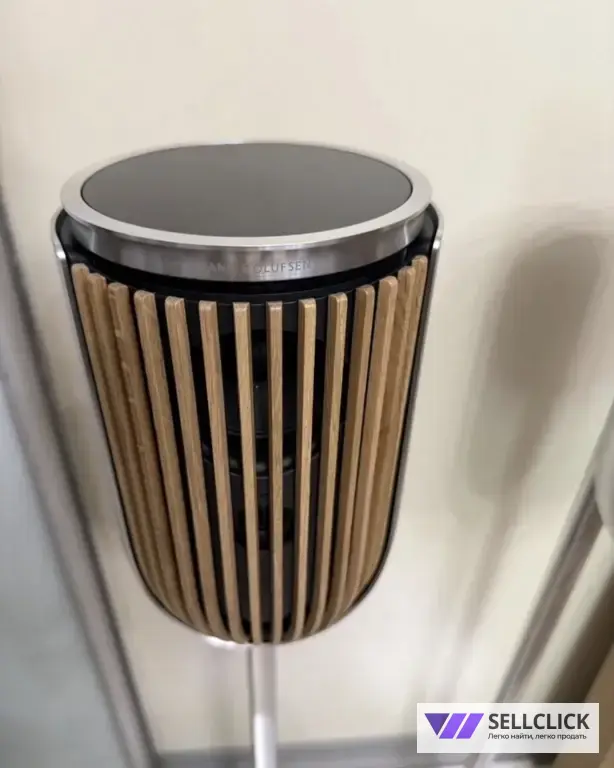 Bang Olufsen Beolab 8 silver наполный комплект