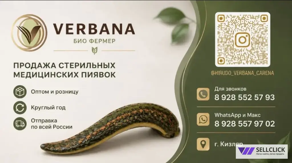 Медицинские пиявки напрямую без посредников и наценки.