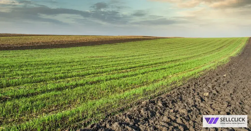 Продается земельный участок