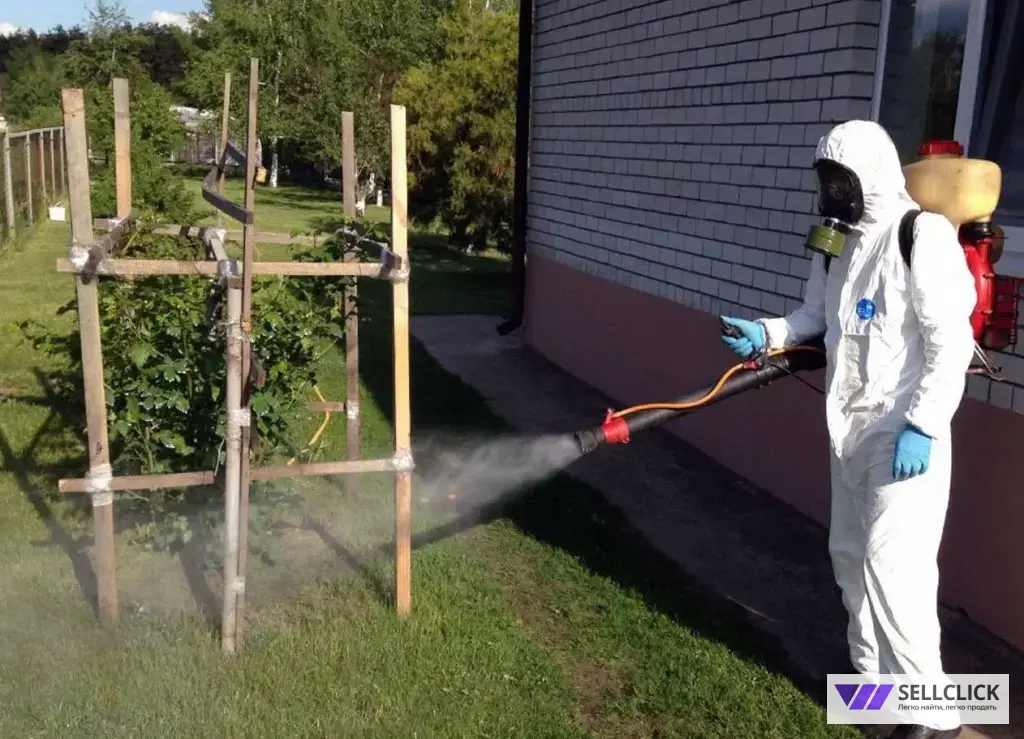 Обработка участка от клещей