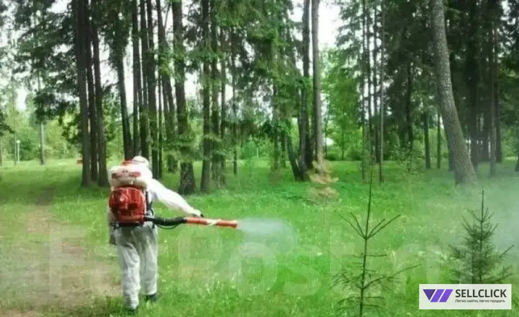 Обработка участка от клещей