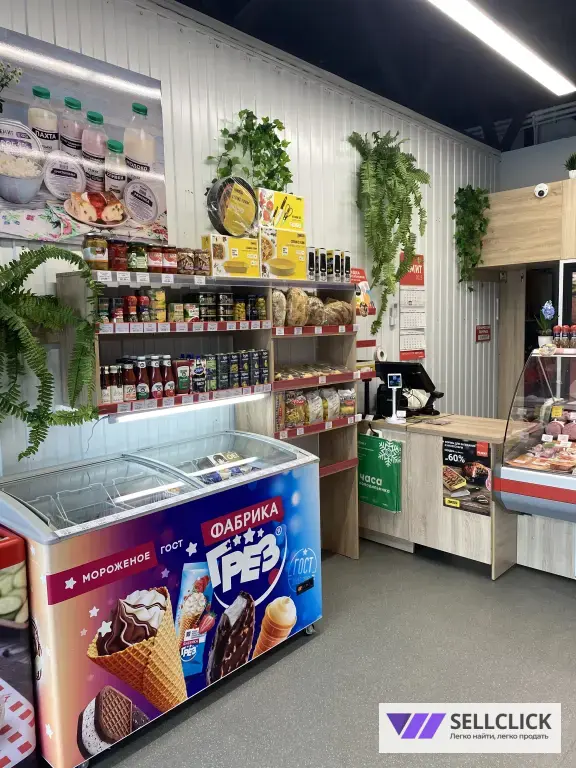 Готовая торговая точка, магазин РЕМИТ