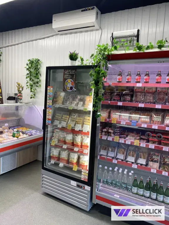 Готовая торговая точка, магазин РЕМИТ