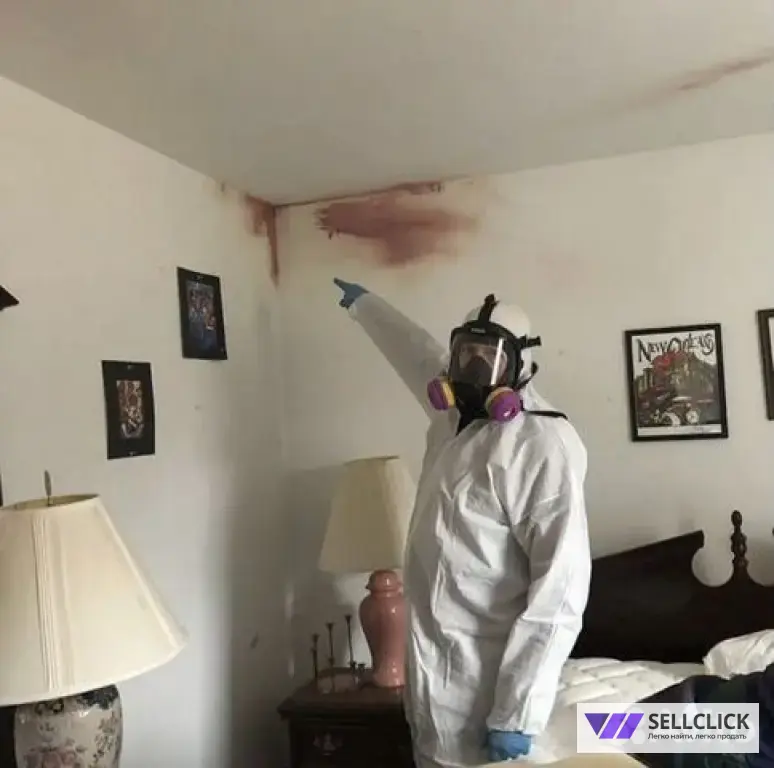 Устранение запаха