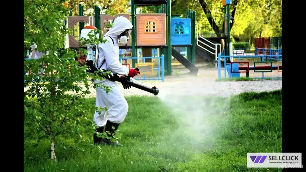 Обработка участка от клещей