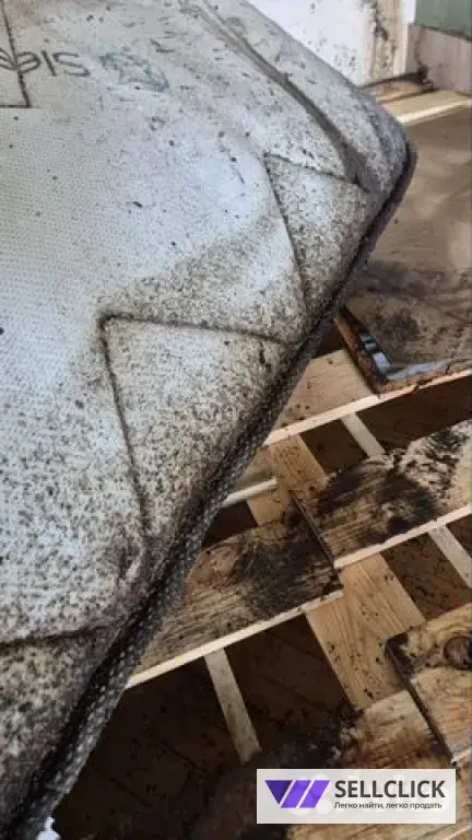 Дезинфекция. Тараканы, клопы,клещи, грызуны