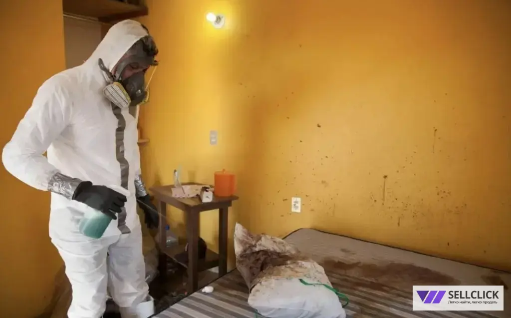 Устранение запаха