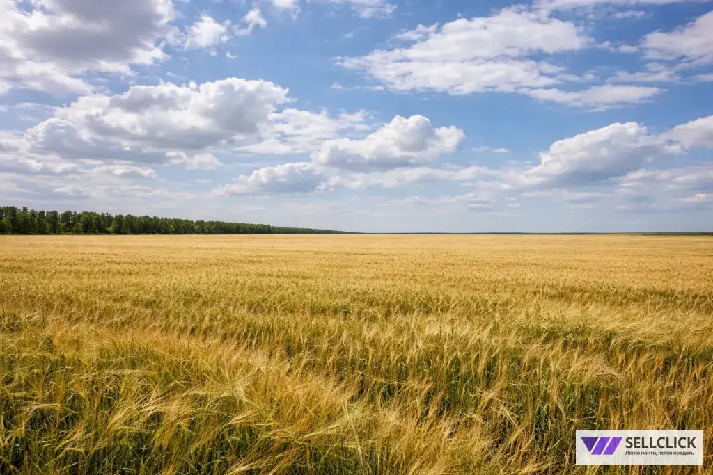 Сельхоз (СНТ или ДНП) 1200 сот., Агент