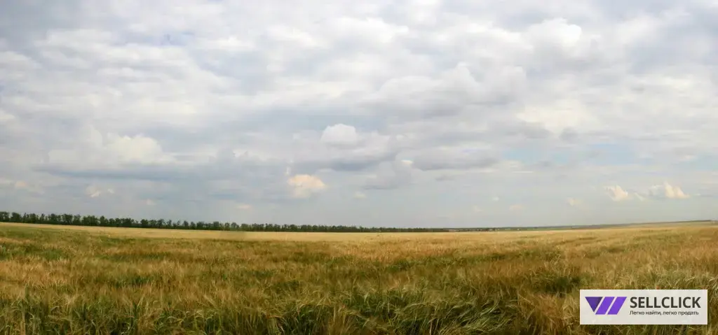 Сельхоз (СНТ или ДНП) 1200 сот., Агент