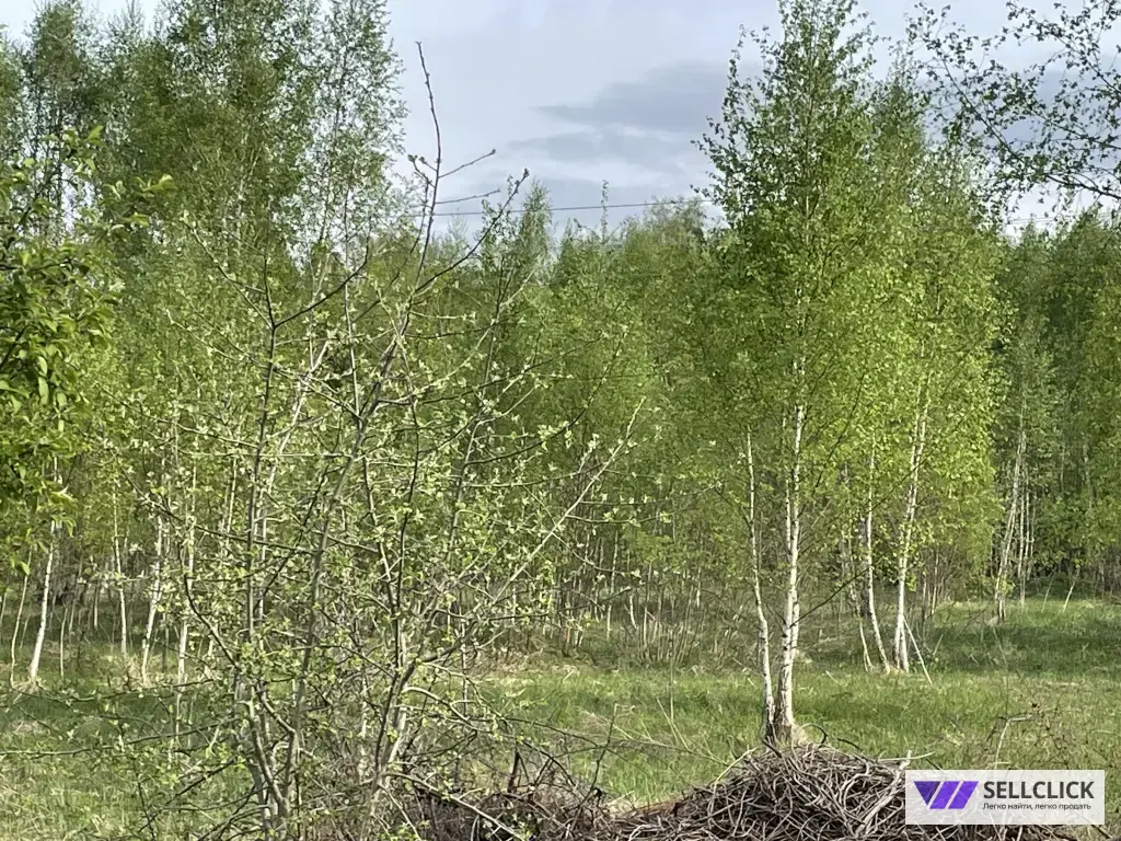 Поселения (ИЖС) 10 сот., Собственник