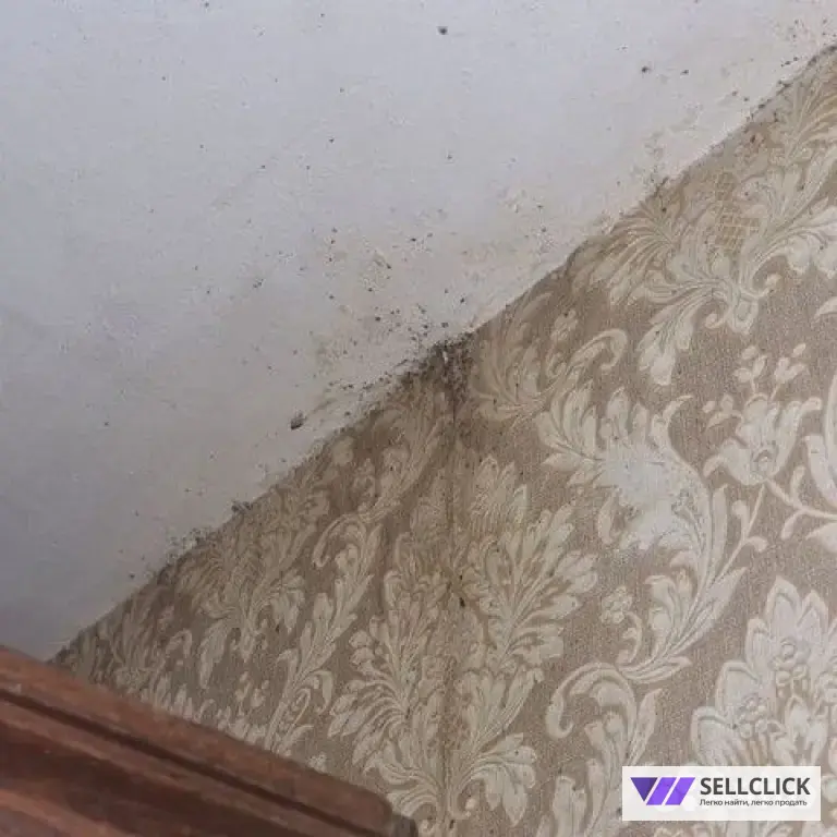 Дезинфекция. Уничтожение клопов и тараканов