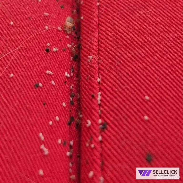 Дезинфекция. Уничтожение клопов и тараканов